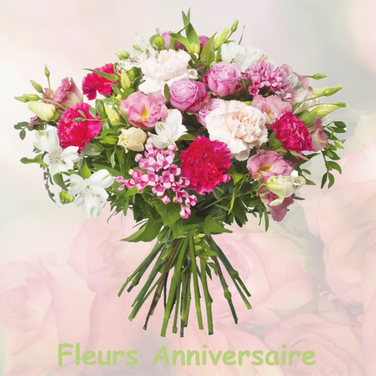 fleurs anniversaire MONTGAILLARD-LAURAGAIS