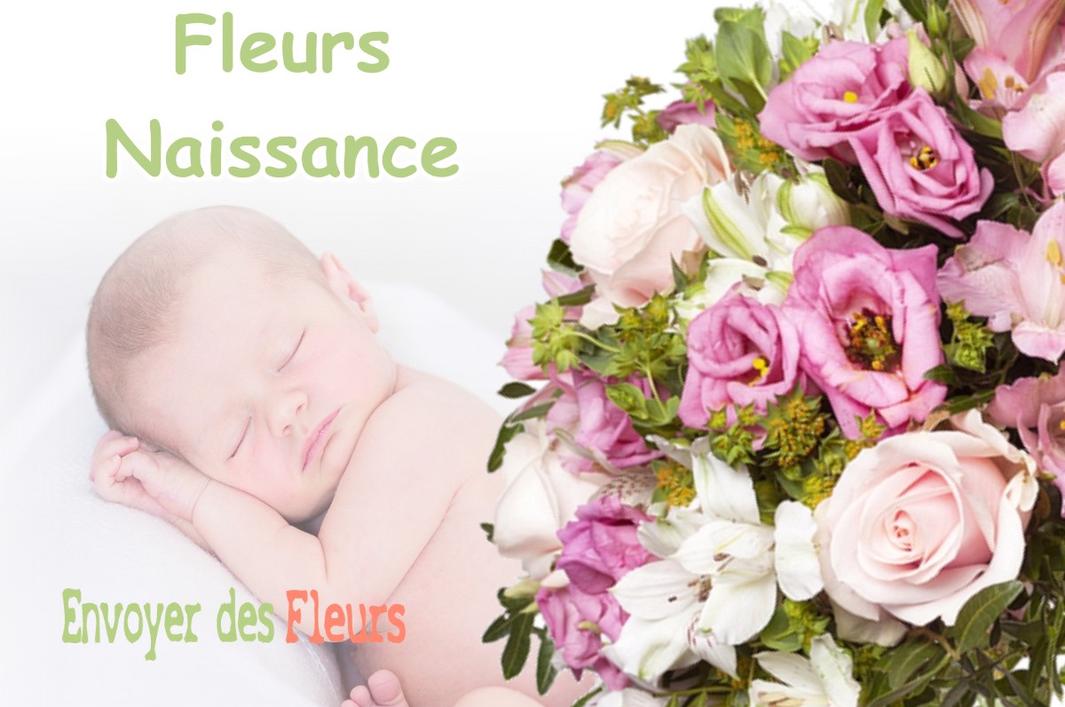 lIVRAISON FLEURS NAISSANCE à MONTGAILLARD-LAURAGAIS